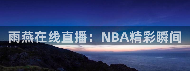 雨燕在线直播：NBA精彩瞬间