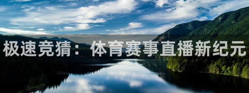 极速竞猜：体育赛事直播新纪元