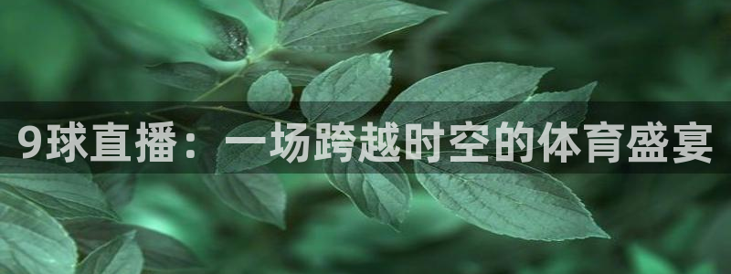 9球直播：一场跨越时空的体育盛宴