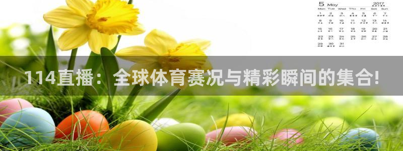 114直播：全球体育赛况与精彩瞬间的集合!