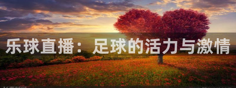 乐球直播：足球的活力与激情