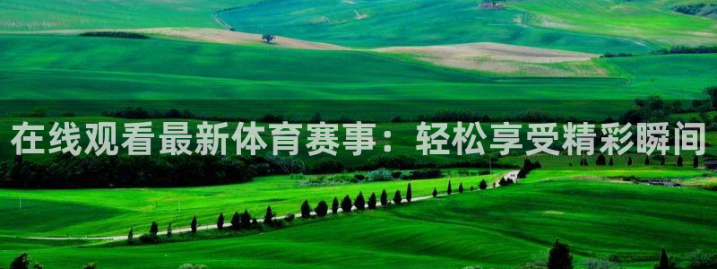 在线观看最新体育赛事：轻松享受精彩瞬间