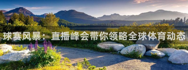 球赛风暴：直播峰会带你领略全球体育动态