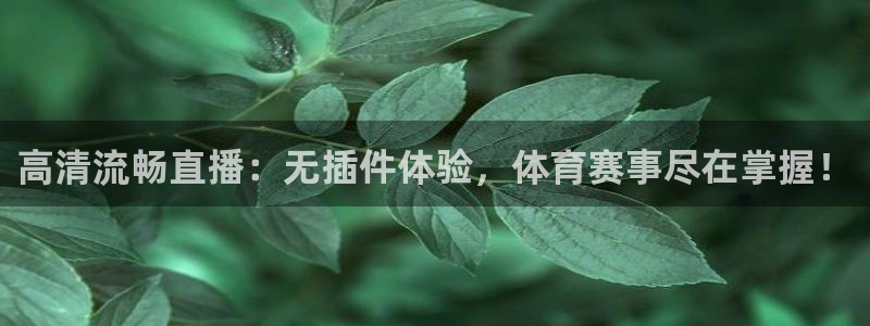 高清流畅直播：无插件体验，体育赛事尽在掌握！