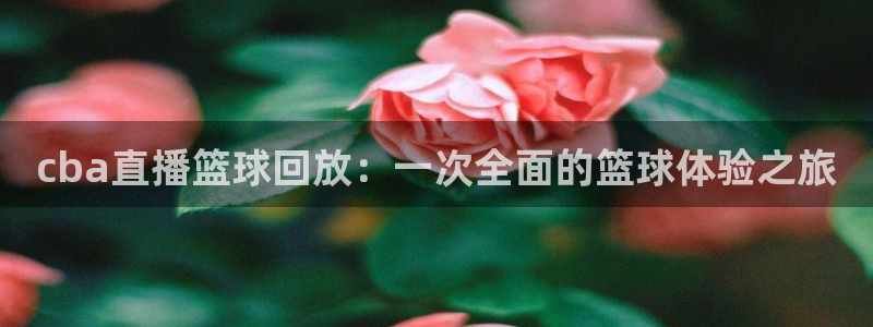 cba直播篮球回放：一次全面的篮球体验之旅