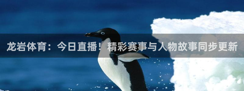 龙岩体育：今日直播！精彩赛事与人物故事同步更新