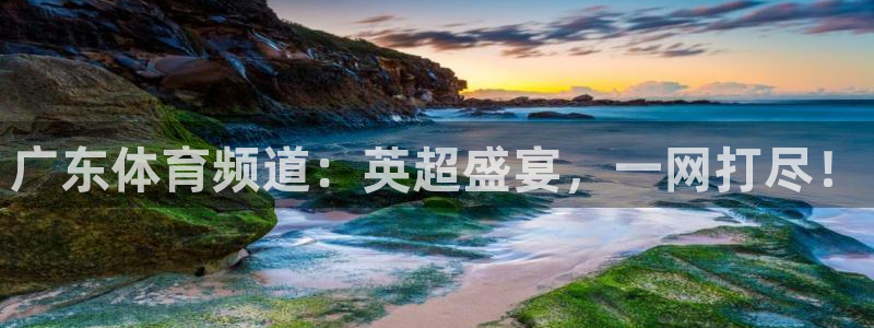 广东体育频道：英超盛宴，一网打尽！