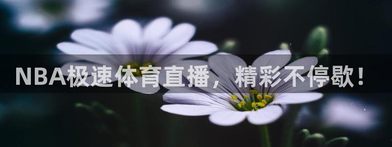 NBA极速体育直播，精彩不停歇！
