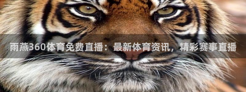 雨燕360体育免费直播：最新体育资讯，精彩赛事直播
