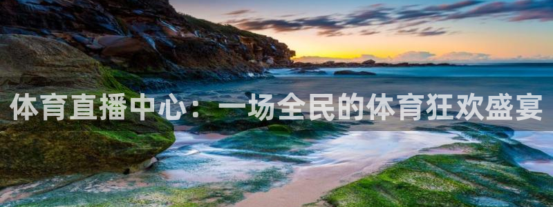 体育直播中心：一场全民的体育狂欢盛宴