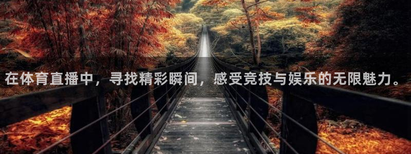 在体育直播中，寻找精彩瞬间，感受竞技与娱乐的无限魅力。