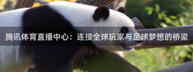 腾讯体育直播中心：连接全球玩家与足球梦想的桥梁