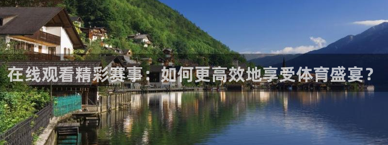 在线观看精彩赛事：如何更高效地享受体育盛宴？
