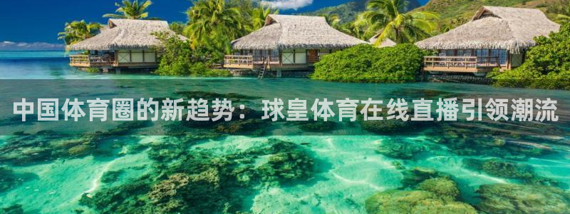中国体育圈的新趋势：球皇体育在线直播引领潮流