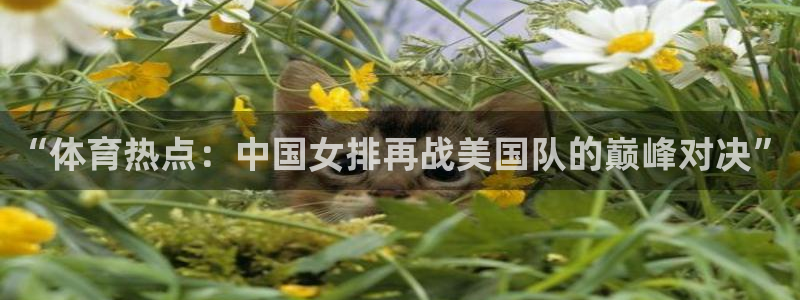 “体育热点：中国女排再战美国队的巅峰对决”