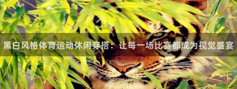 黑白风格体育运动休闲穿搭：让每一场比赛都成为视觉盛宴