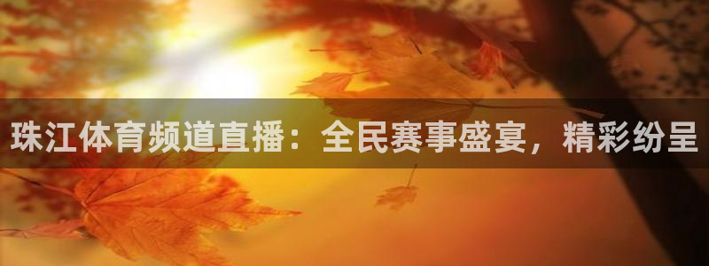 珠江体育频道直播：全民赛事盛宴，精彩纷呈
