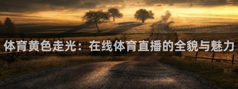 体育黄色走光：在线体育直播的全貌与魅力