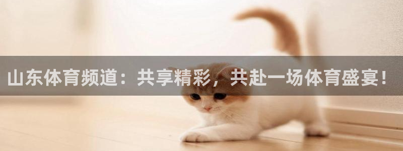 山东体育频道：共享精彩，共赴一场体育盛宴！